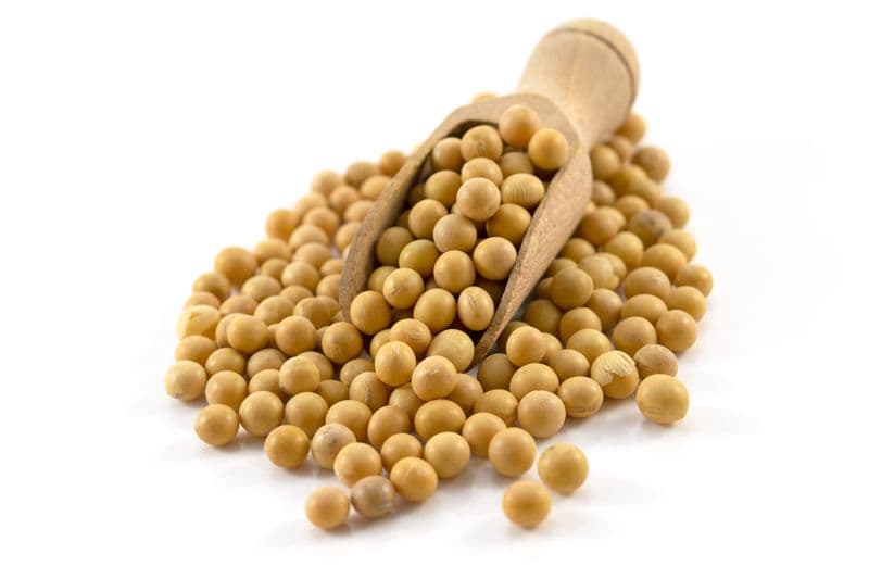 Soybeans