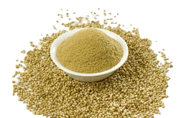 Coriander seeds Powder