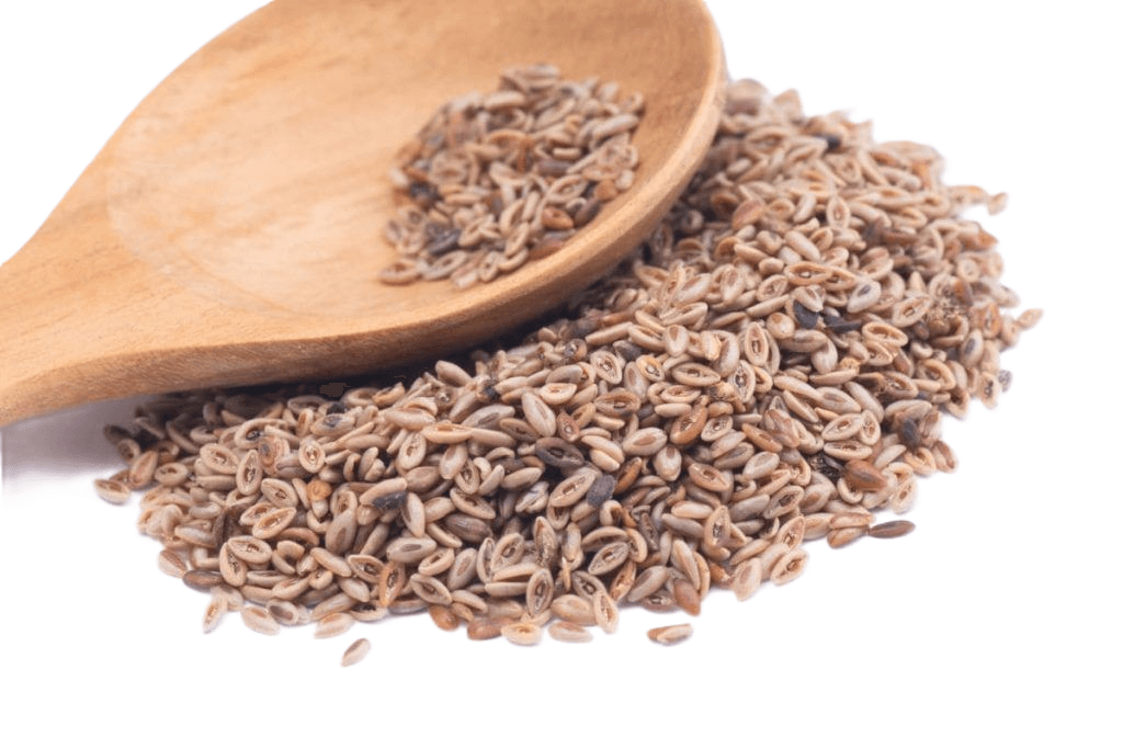 Psyllium Seed