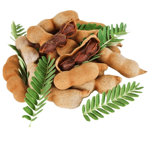 Tamarind